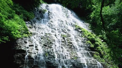 电子高端智能制造